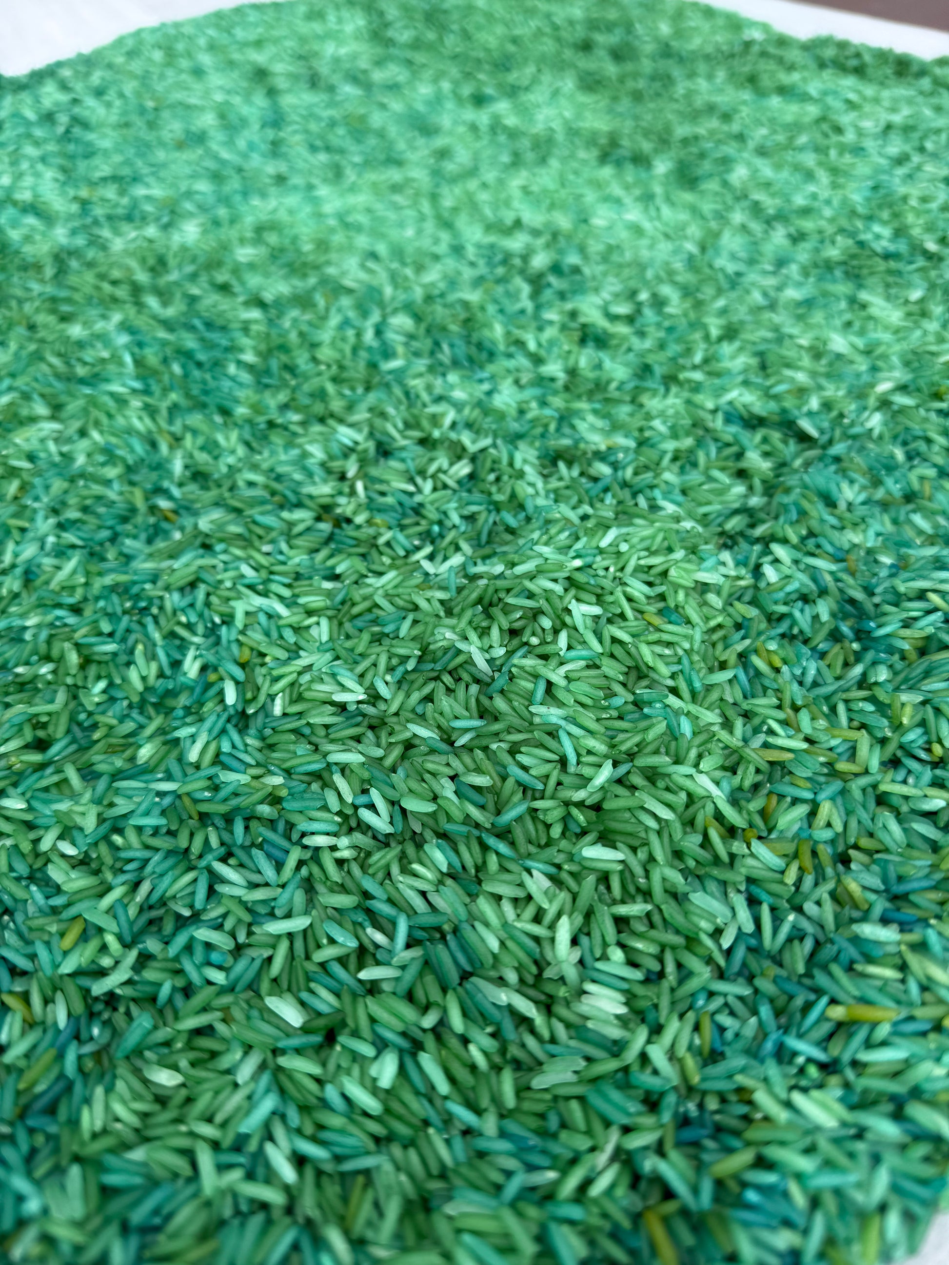 8 cups (2 pound) of colored rice