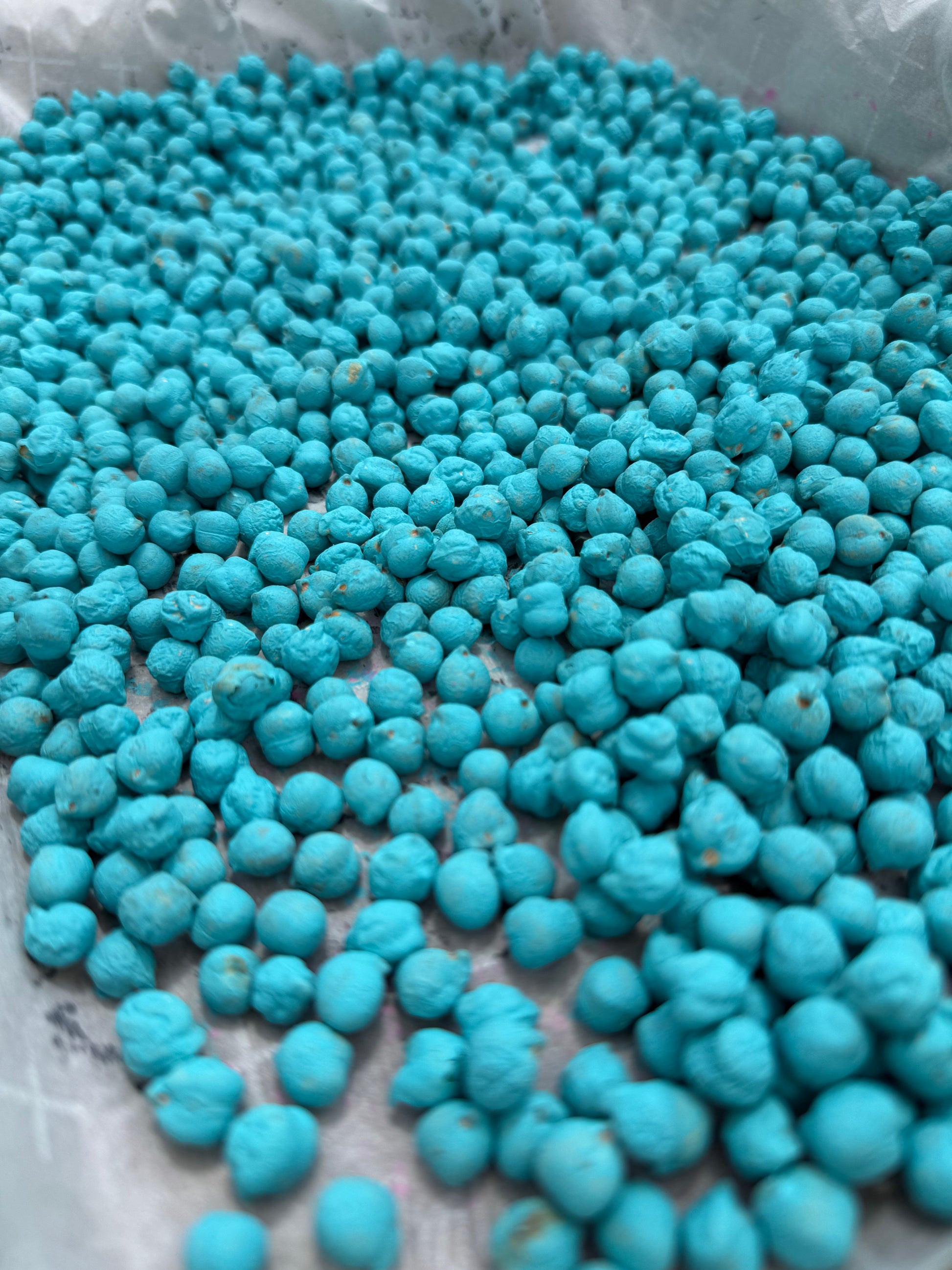 Chickpea sensory bin filler